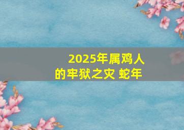 2025年属鸡人的牢狱之灾 蛇年